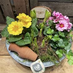 Large spring planter 