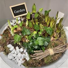 Spring planted bulbs 