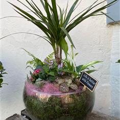 Mothers day pink glass planted arrangement 