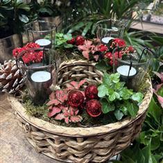 Large festive planted table arrangement 