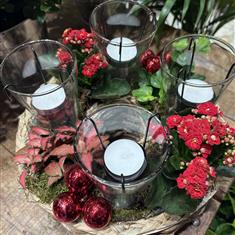 Festive planted table arrangement 