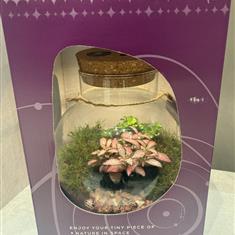 Terrarium with LED lights 